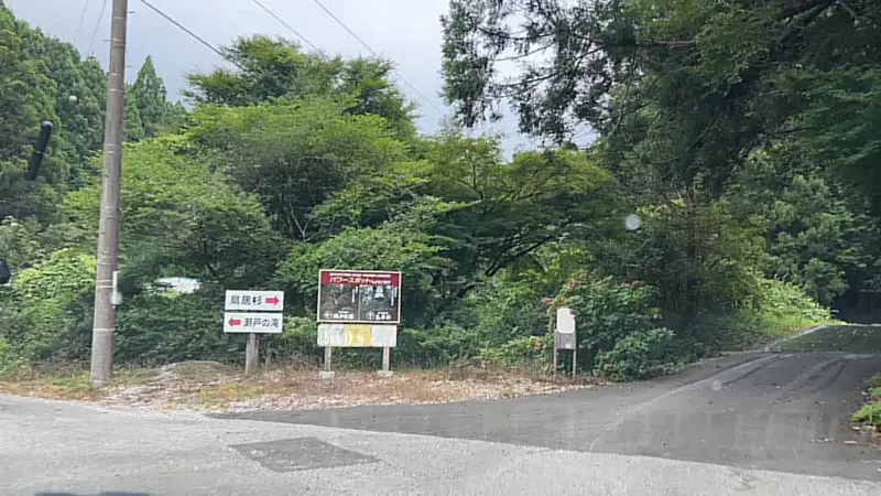 鳥居杉 日本でここだけ！？ 生きた鳥居はどこにある？ 高知の穴場パワースポット