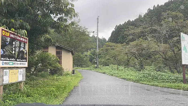 鳥居杉 日本でここだけ！？ 生きた鳥居はどこにある？ 高知の穴場パワースポット