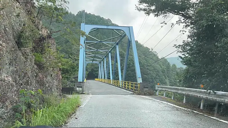 鳥居杉 日本でここだけ！？ 生きた鳥居はどこにある？ 高知の穴場パワースポット