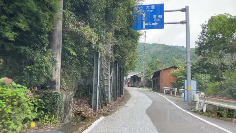 鳥居杉 日本でここだけ！？ 生きた鳥居はどこにある？ 高知の穴場パワースポット