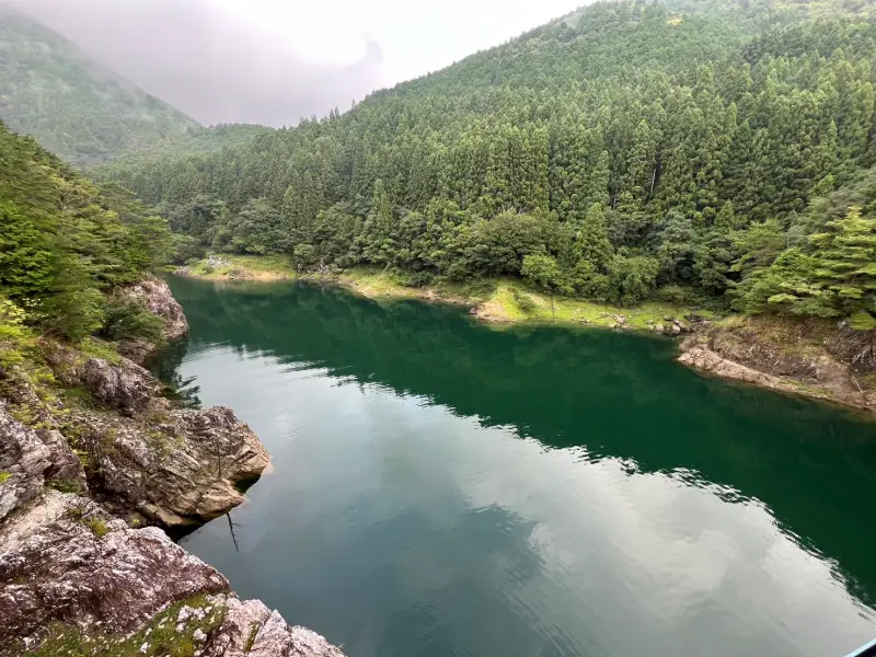 鳥居杉 日本でここだけ！？ 生きた鳥居はどこにある？ 高知の穴場パワースポット