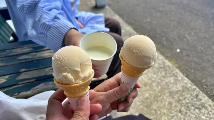 大野ヶ原の高原野菜とアイスクリーム 四国カルスト天狗高原 夏の恒例ドライブ