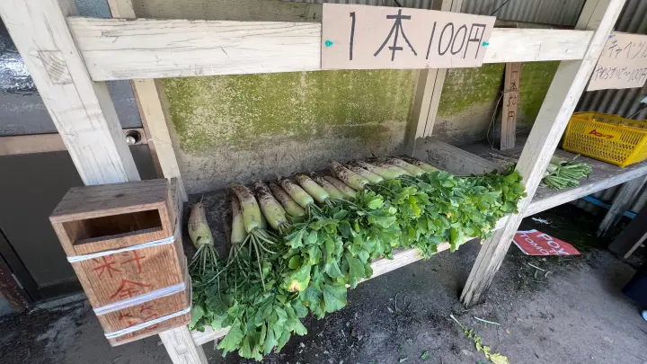 大野ヶ原の高原野菜とアイスクリーム 四国カルスト天狗高原 夏の恒例ドライブ
