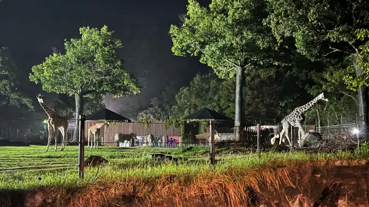 のいち動物公園 夜の大人気イベント のいちdeナイトを楽しむ