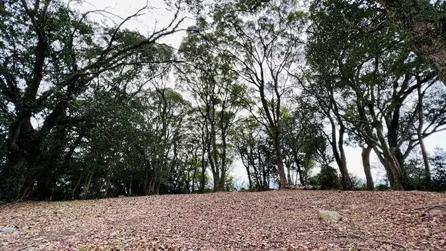 安芸城跡を散策 ランチは「かき揚げちりめん丼」を食べて安芸市を満喫