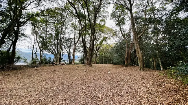 安芸城跡を散策 ランチは「かき揚げちりめん丼」を食べて安芸市を満喫