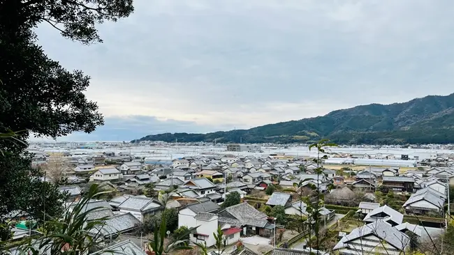 安芸城跡を散策 ランチは「かき揚げちりめん丼」を食べて安芸市を満喫