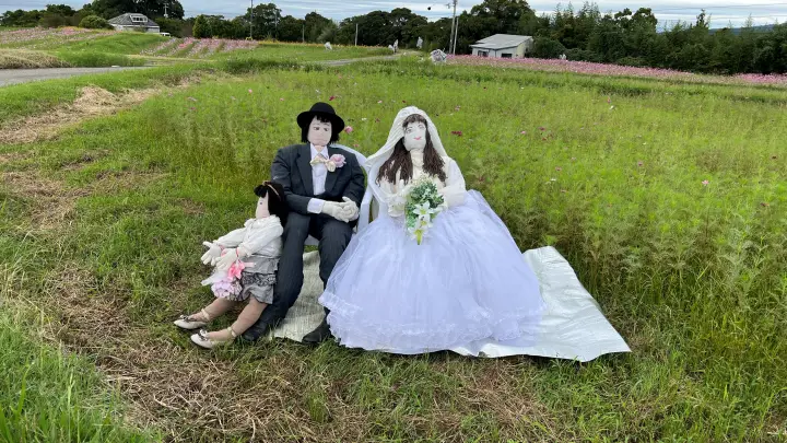 奈半利町 コスモス畑と海とカカシを見に秋のドライブ