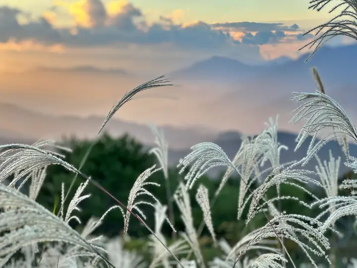 オートバイ神社 高知県「ゆとりすとパークおおとよ」秋のドライブ 夕陽も星空もキレイ