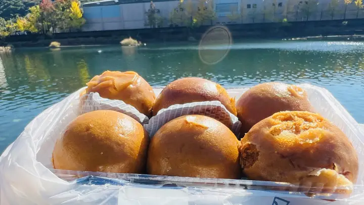 フェスティバル土佐 ふるさと祭り 高知県の旨いものが揃うイベント