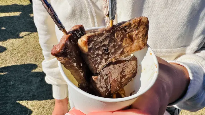 フェスティバル土佐 ふるさと祭り 高知県の旨いものが揃うイベント