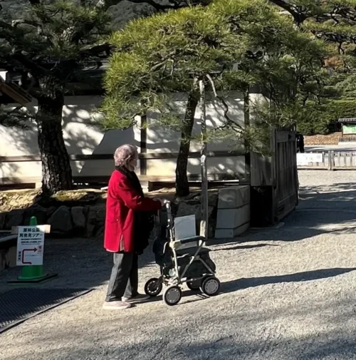 栗林公園 紅葉 高齢の母と一緒に行ってみた 香川県で行くべき観光スポット
