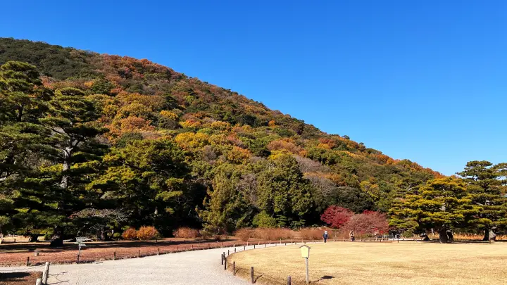 栗林公園 紅葉 高齢の母と一緒に行ってみた 香川県で行くべき観光スポット