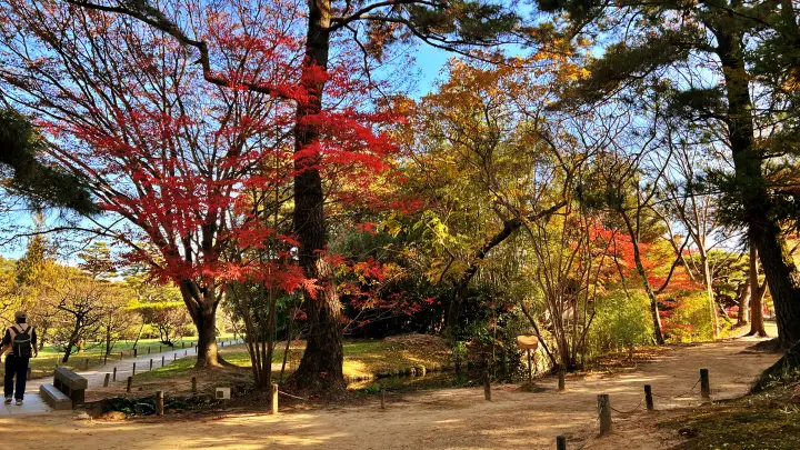栗林公園 紅葉 高齢の母と一緒に行ってみた 香川県で行くべき観光スポット