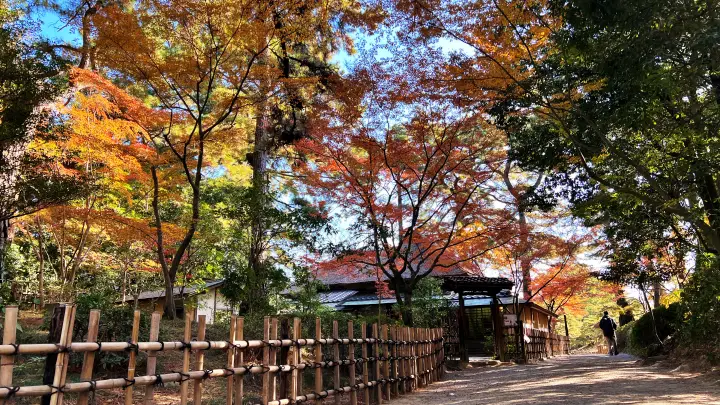 栗林公園 紅葉 高齢の母と一緒に行ってみた 香川県で行くべき観光スポット