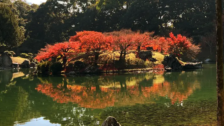 栗林公園 紅葉 高齢の母と一緒に行ってみた 香川県で行くべき観光スポット