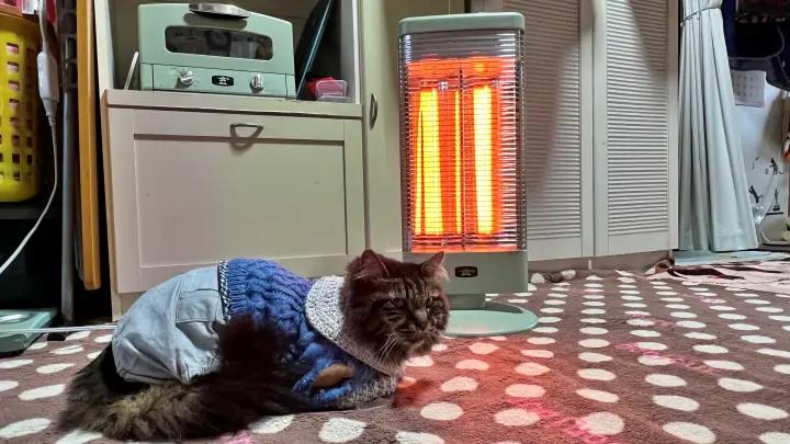 グラファイトヒーター アラジン 電気ストーブがすごく暖かい クリスマスプレゼント