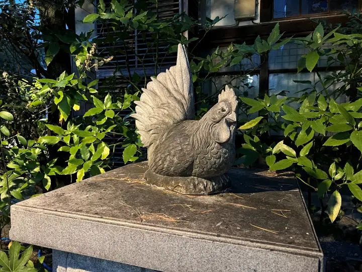 高知大神宮 よさこい稲荷神社 バイク神社としても人気 ニワトリが居る歴史ある神社