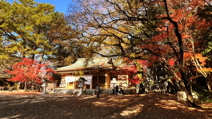 山内神社 日本一遅い紅葉は12月が見頃で綺麗で美しい 高知のパワースポット