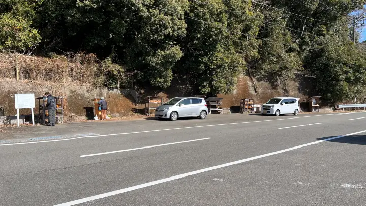 立目ぽんかん 高知ブランド柑橘 甘さの秘密と美味しい時期 旬を逃さず味わう