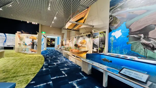 徳島県立博物館に行ってみたら凄い楽しかった!子供も大人も楽しめる