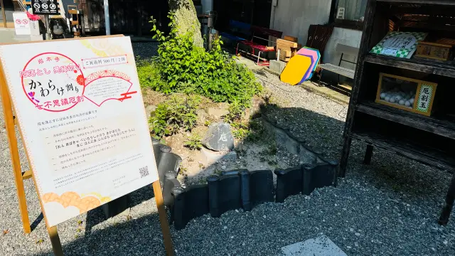 岩本寺 本堂の天井を見てね 竹灯りイベントも必見 四万十町