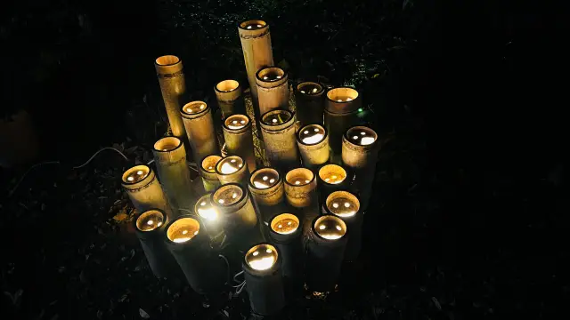 岩本寺 本堂の天井を見てね 竹灯りイベントも必見 四万十町