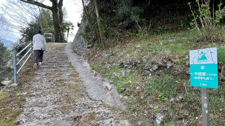 【高知・仁淀川町】中越家のしだれ桜の見頃と駐車場と徒歩・車での行き方を解説！樹齢250年の滝桜は圧巻の美しさ