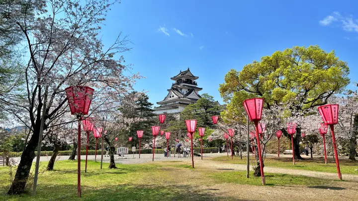 高知城｜人気の桜お花見スポットと幻想的な夜桜