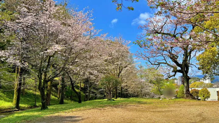 【穴場スポット】高知城裏の「すべり山」
