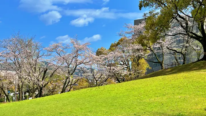 【穴場スポット】高知城裏の「すべり山」