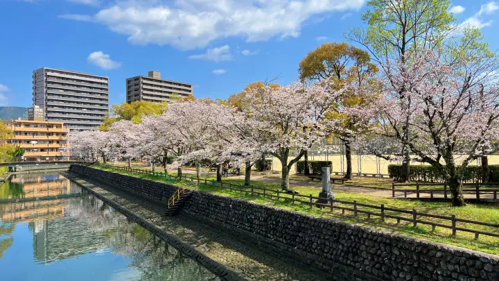 【城西公園】高知城裏にある大きな公園で桜を見ながら子供も遊べる