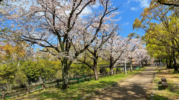 【城西公園】高知城裏にある大きな公園で桜を見ながら子供も遊べる