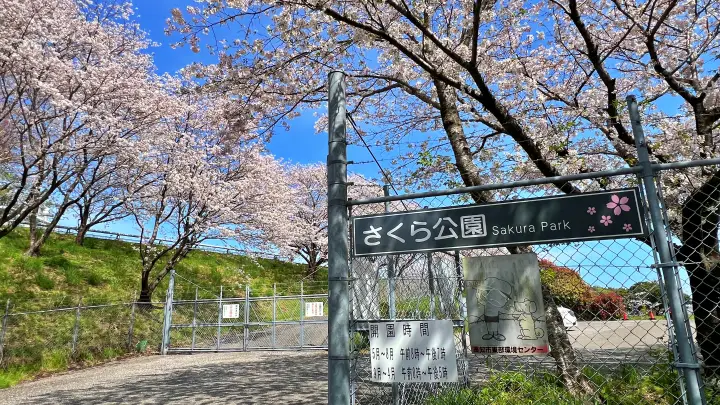 さくら公園（高知市十津）｜車と一緒に写真が撮れる！超穴場スポット