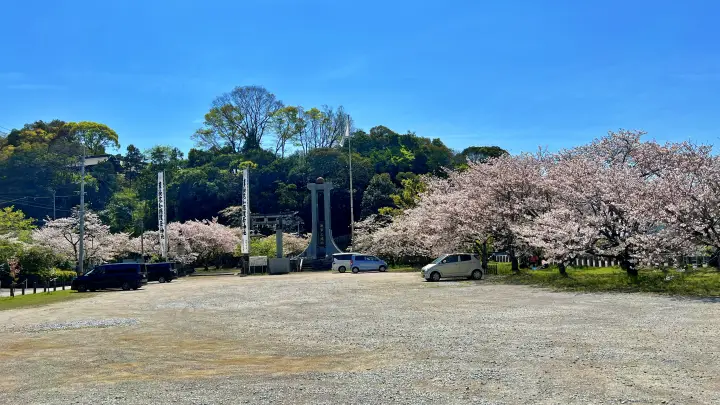高知県護国神社（高知市吸江）｜五台山の麓に咲き誇る低木の桜（著者おススメ）