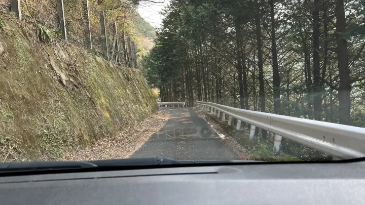 【高知・仁淀川町】久喜の花桃の見頃と駐車場は?桃源郷のような絶景ドライブを徹底レポート!