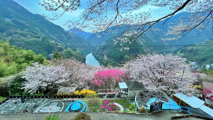 【仁淀川町】寺村「花の里」のハナモモが見頃！桃源郷のような絶景とアクセス・基本情報を解説