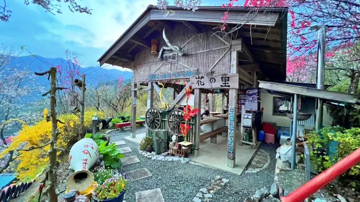 【仁淀川町】寺村「花の里」のハナモモが見頃！桃源郷のような絶景とアクセス・基本情報を解説