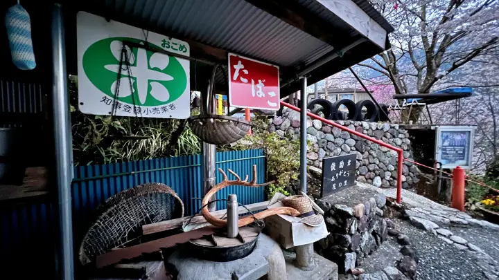 【仁淀川町】寺村「花の里」のハナモモが見頃！桃源郷のような絶景とアクセス・基本情報を解説