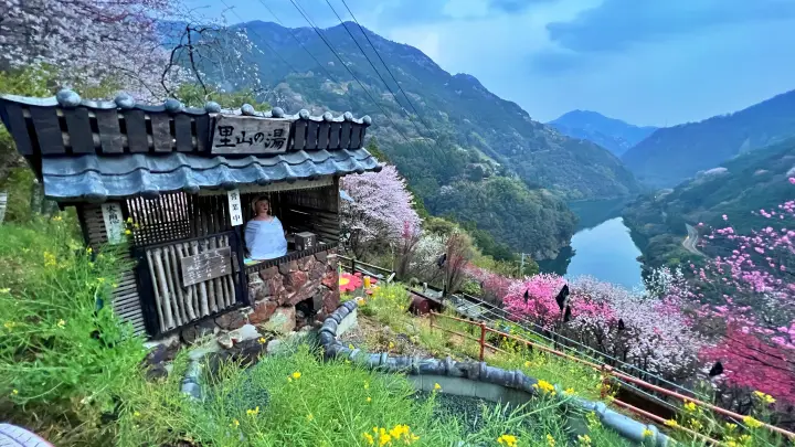 【仁淀川町】寺村「花の里」のハナモモが見頃！桃源郷のような絶景とアクセス・基本情報を解説
