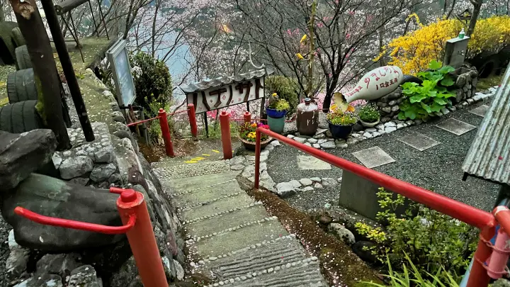【仁淀川町】寺村「花の里」のハナモモが見頃！桃源郷のような絶景とアクセス・基本情報を解説