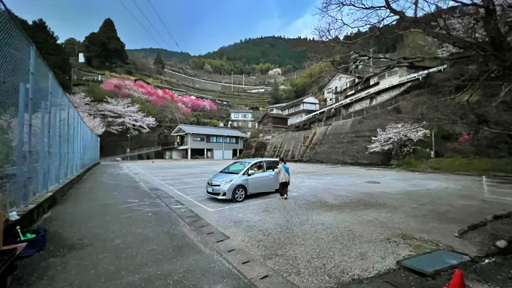 【仁淀川町】寺村「花の里」のハナモモが見頃！桃源郷のような絶景とアクセス・基本情報を解説