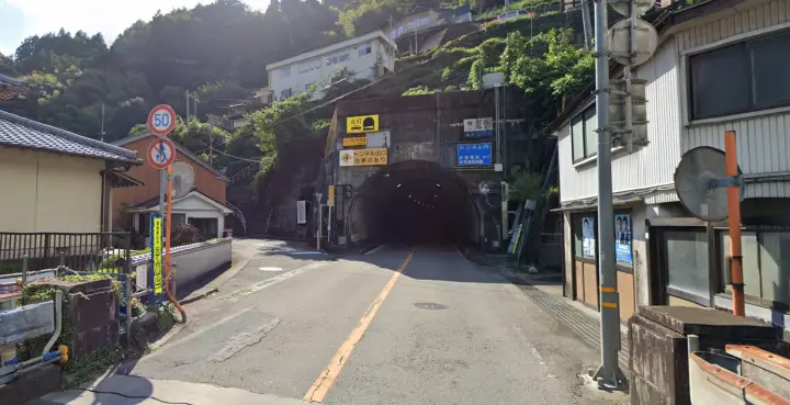 【仁淀川町】寺村「花の里」のハナモモが見頃！桃源郷のような絶景とアクセス・基本情報を解説
