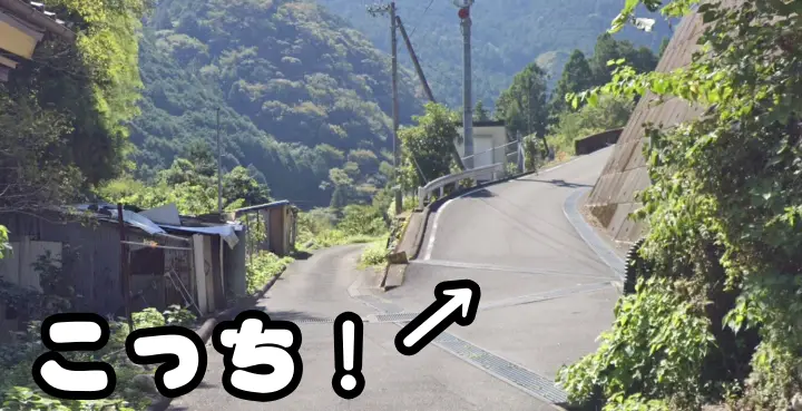 【仁淀川町】寺村「花の里」のハナモモが見頃！桃源郷のような絶景とアクセス・基本情報を解説