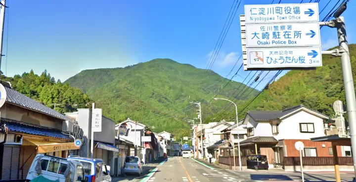 【高知・仁淀川町】ひょうたん桜 樹齢500年の巨木へ絶景ドライブ の見頃とアクセス・駐車場を解説!