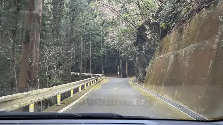 【高知・仁淀川町】ひょうたん桜 樹齢500年の巨木へ絶景ドライブ の見頃とアクセス・駐車場を解説!