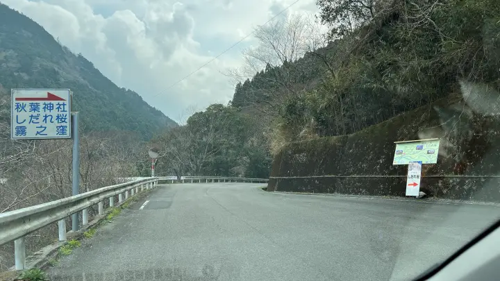 【高知・仁淀川町】中越家のしだれ桜の見頃と駐車場と徒歩・車での行き方を解説！樹齢250年の滝桜は圧巻の美しさ
