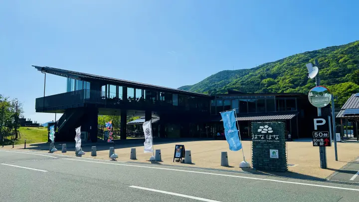 【愛媛】佐田岬はなはなの「しらす丼」が絶品！メニューや待ち時間、アクセスを徹底ガイド
