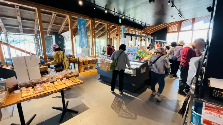 【愛媛】佐田岬はなはなの「しらす丼」が絶品！メニューや待ち時間、アクセスを徹底ガイド