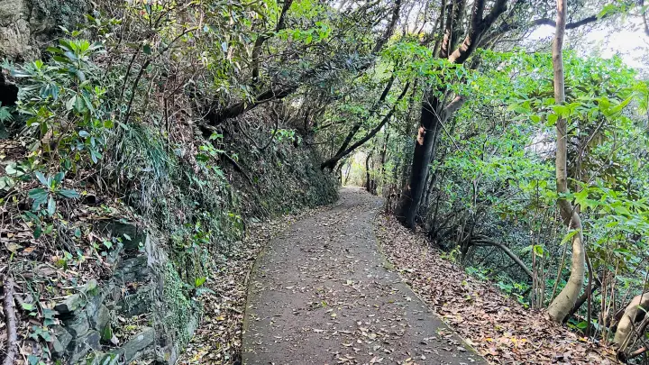 【完全ガイド】佐田岬灯台や四国最西端の観光情報！駐車場からの所要時間や絶景ポイントを解説